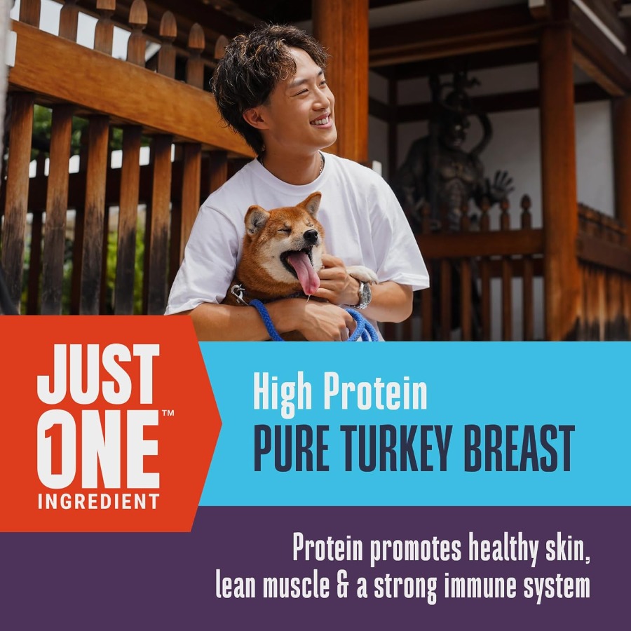 Whole Life Dog Just One Turkey - đánh giá và giá Food Snacks Healthy