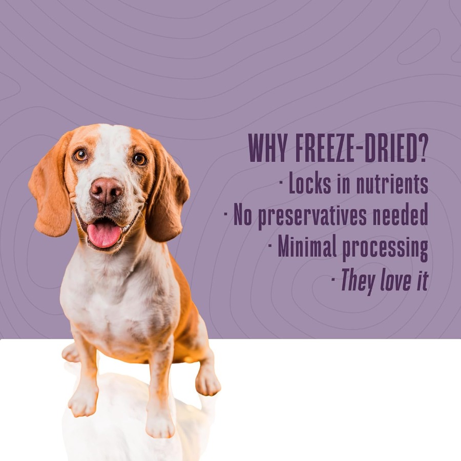 Whole Life Dog Just One Turkey - đánh giá và giá Food Snacks Healthy