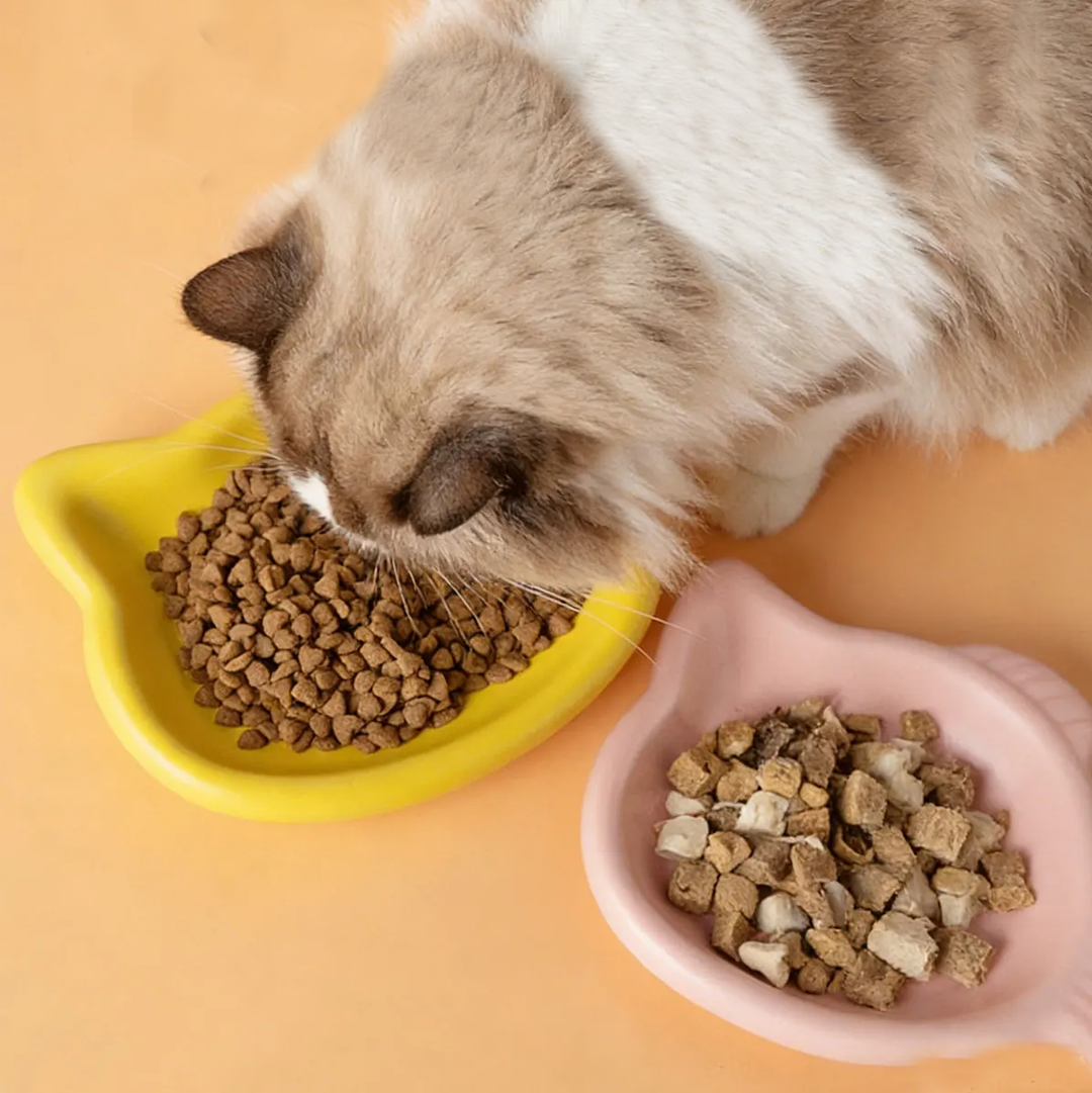 Cute Cat Shape Pet Snack Plate - đánh giá và giá Food Snacks Options