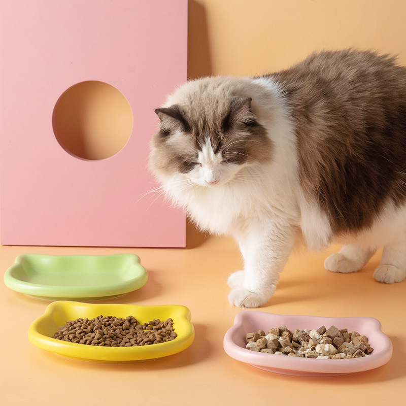 Cute Cat Shape Pet Snack Plate - đánh giá và giá Food Snacks Options