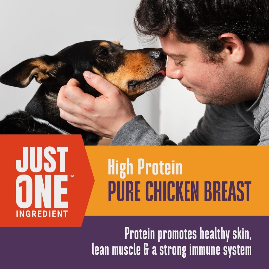 Whole Life Dog Just One Chicke - đánh giá và giá Food Snacks Healthy